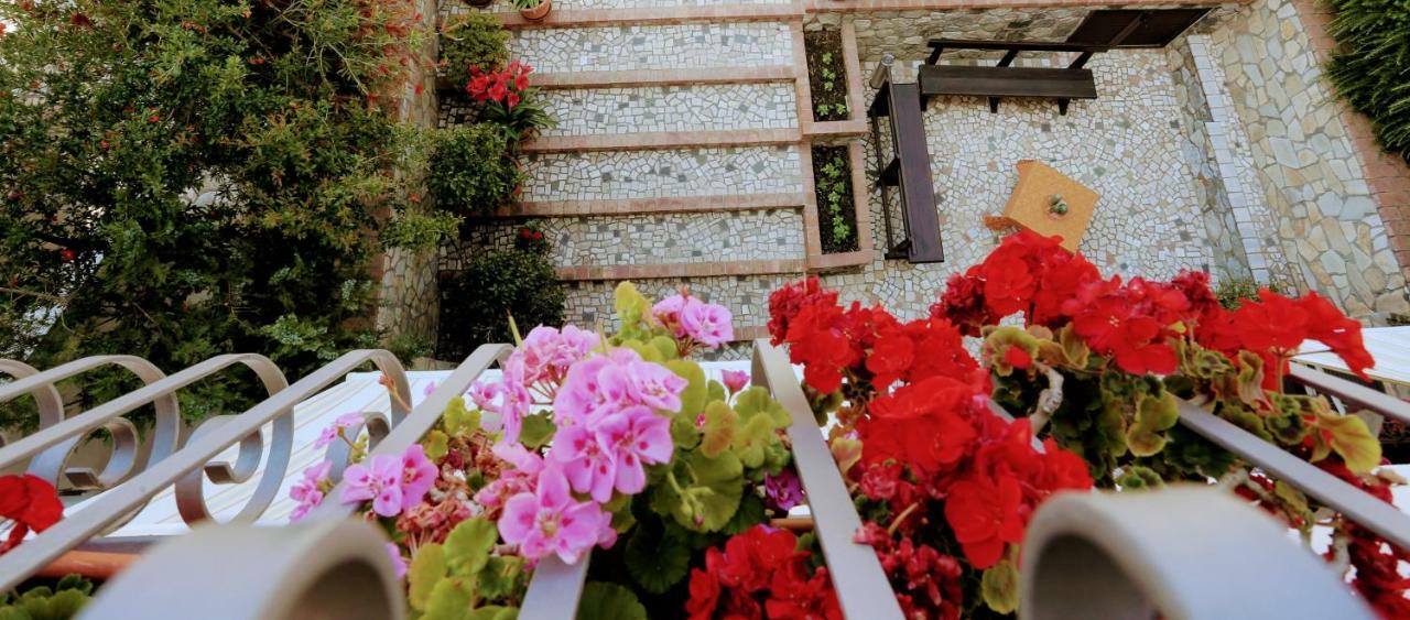 Zama Bed&Breakfast Scalea Kültér fotó